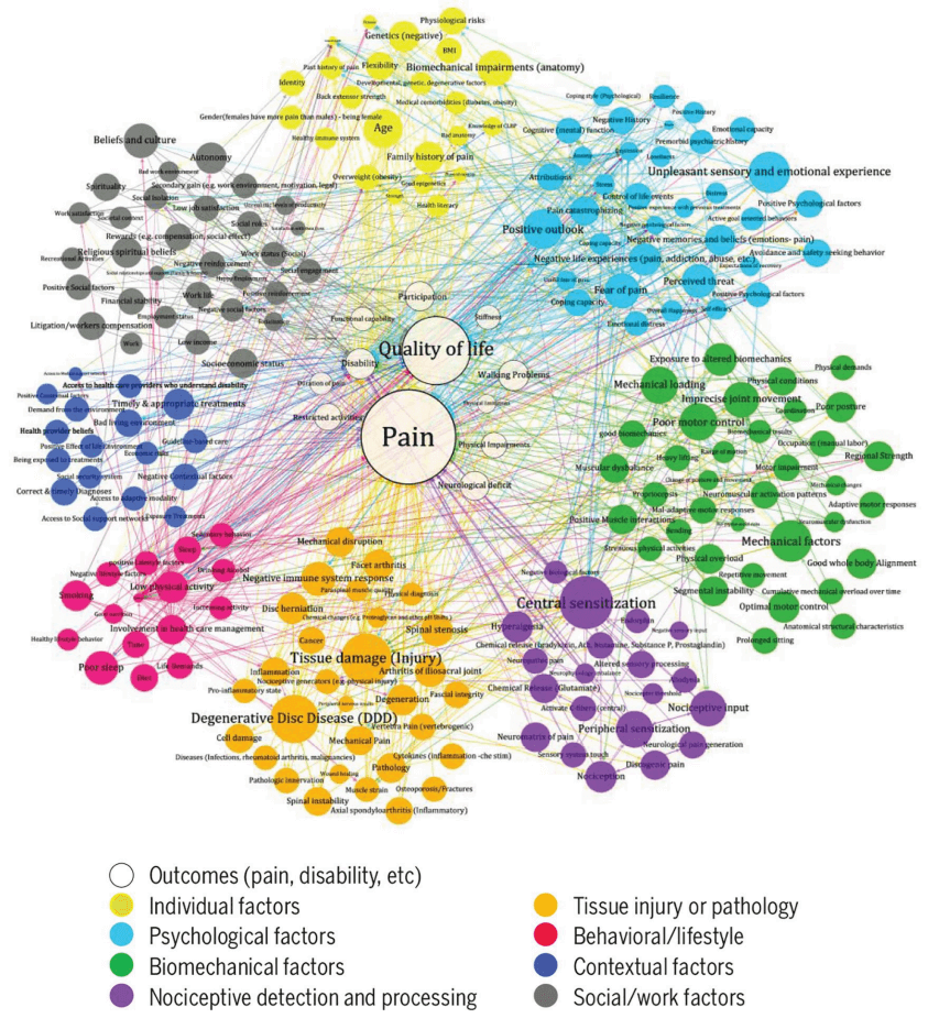 modelo multifactorial del dolor antonio abad alandalus